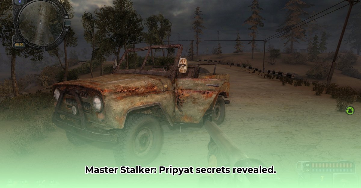 stalker-call-of-pripyat-gameplay